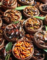 Strange food of Thai people- roasted insects. pattern texture background photo
