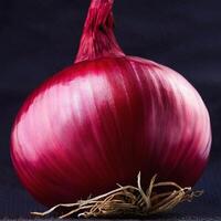 High quality photo of red onion. pattern texture background.