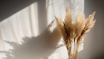 Branch of dry reeds on background of white wall at home with sun light and trendy shadow. Beautiful pattern with neutral colors. Minimal, stylish, monochrome concept. copy space photo