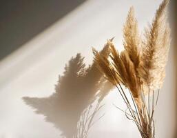Branch of dry reeds on background of white wall at home with sun light and trendy shadow. Beautiful pattern with neutral colors. Minimal, stylish, monochrome concept. copy space photo