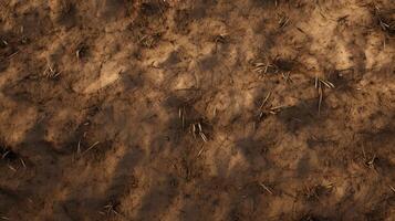 Aerial View of Dirt Field With Grass photo