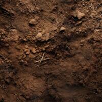 Close Up of Dirt Field With Grass and Rocks photo