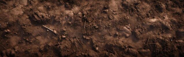 Close Up of Dirt Field With Dog Paw Print photo