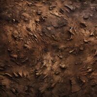 Aerial View of Dirt Field photo