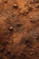 Abandoned Dirt Field With Rocks photo