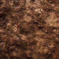 White Object in Dirt Field photo