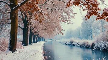 Snow-Covered Forest With a River Running Through photo