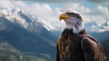 Bald Eagle Standing in Front of Mountain Range photo