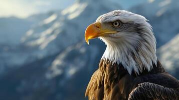 Close-Up of Bald Eagle and Mountains photo