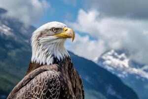 Majestic Bald Eagle Soaring Above Mountain photo