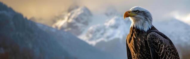 Bald Eagle Standing in Front of Mountain Range photo