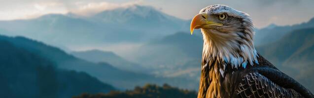 Bald Eagle Standing in Front of Mountain Range photo