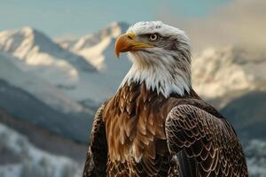 Bald Eagle Standing in Front of Mountain Range photo