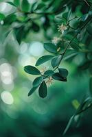 de cerca de árbol rama con hojas y flores foto