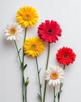 Colorful Flower Bouquet on Table photo