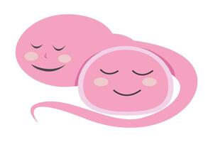 sperm and egg fertillization vector