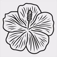 hibiscus flower line art silhouette on white background vector