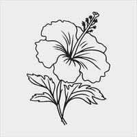 hibiscus flower line art silhouette on white background vector