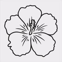 hibiscus flower line art silhouette on white background vector