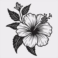 hibiscus flower line art silhouette on white background vector
