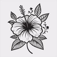 hibiscus flower line art silhouette on white background vector