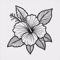 hibiscus flower line art silhouette on white background vector
