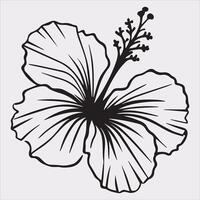 hibiscus flower line art silhouette on white background vector