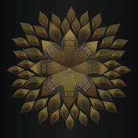 beautiful golden flower petal on black background vector