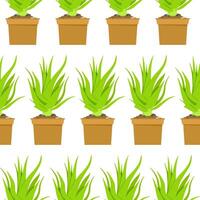 Seamless pattern of aloe vera in pot vector