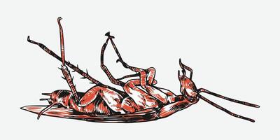 Set of hand drawn of dead cockroach. Sketch drawing. Isolated background. Graphic illustration. vector