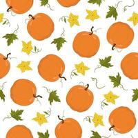 seamless pattern of different pumpkins with leaves and flowers. Horizontal autumn background for textiles, packaging and cards. vector