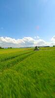 Smooth FPV flight behind a tractor spraying an agricultural field. video