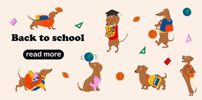 Web page design template for Dachshunds dog ready for school with school stationery. vector