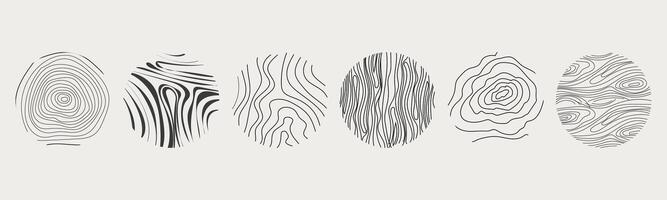 Wood texture material doodle hand drawn line. Tree trunk geometric curve and wave contour. Rings and circles. vector
