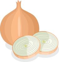 Whole onion and fresh onion slices vector