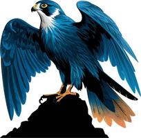 Peregrine on a white background vector