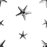 Textured five-pointed starfish. Marine illustration of the underwater world hand drawn in black ink graphically. seamless pattern, pattern, ornament, simple in EPS. vector