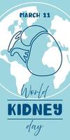 World Kidney Day banner, March 11, is used for design of postcards with a minimalist and modern concept, cover, background, kidneys, internal organs, international. Outline vertical on blue vector