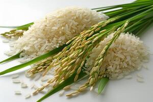 Raw and Harvested Rice Grains with Fresh Green Stalks - Ideal for Food, Agriculture, and Culinary Concepts photo