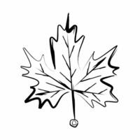 an autumn leaf is drawn in black and white on a white background vector