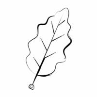 an autumn leaf is drawn in black and white on a white background vector