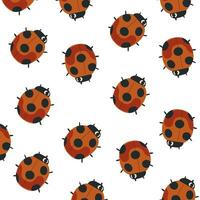 Autumn hand-drawn icons. Autumn cozy pattern with red cute ladybug. Symbol of autumn. Insects background vector