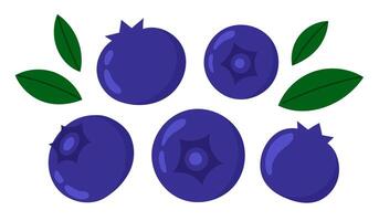 Blueberry set. Fresh summer juicy berry. Flat illustration isolated on white background vector