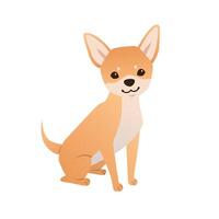 Chihuahua illustration on white background. Small pet dog character in flat style. Sitting chihuahua puppy vector