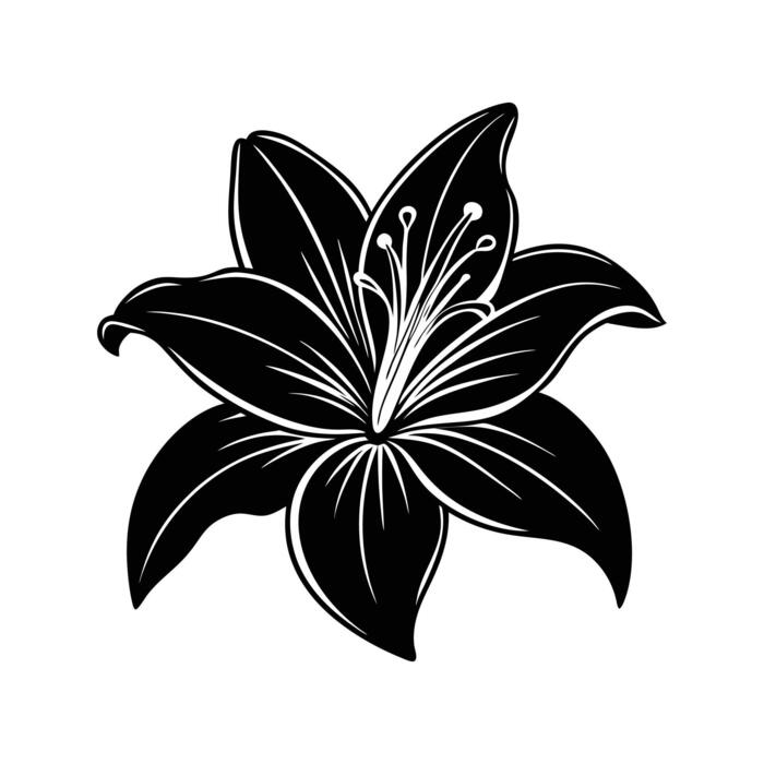 lily-flower-silhouette-free-