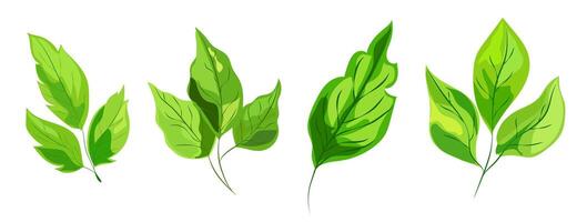 featuring eight different types of green leaves. Each leaf showcases unique shapes and vein patterns. graphic, clean, and vibrant, ideal for nature, eco-friendly projects vector
