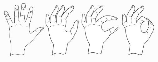 Hands show the sign everything is fine. Hands drawn with a thin line. vector