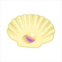illustration of an open seashell with a beautiful pearl inside on white background vector