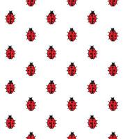 Seamless pattern of sketch ladybug vector