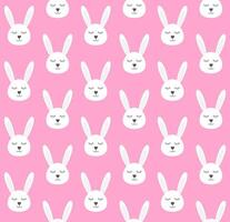 Pattern of rabbit vector